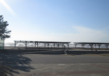 「波の花」を見ました！