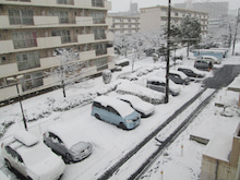 またまた　ゆき　(ﾉﾟοﾟ)ﾉ