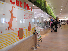 イオン幕張新都心　— ペットモール —