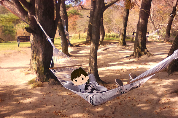 大好きな秋です。