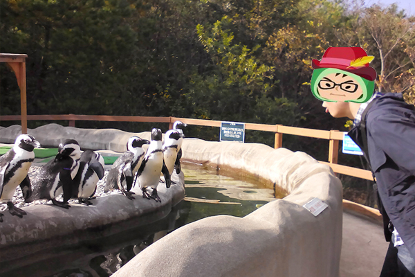 ムックンは少年です。