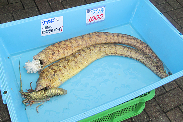 一緒に記念写真をどーぞ！