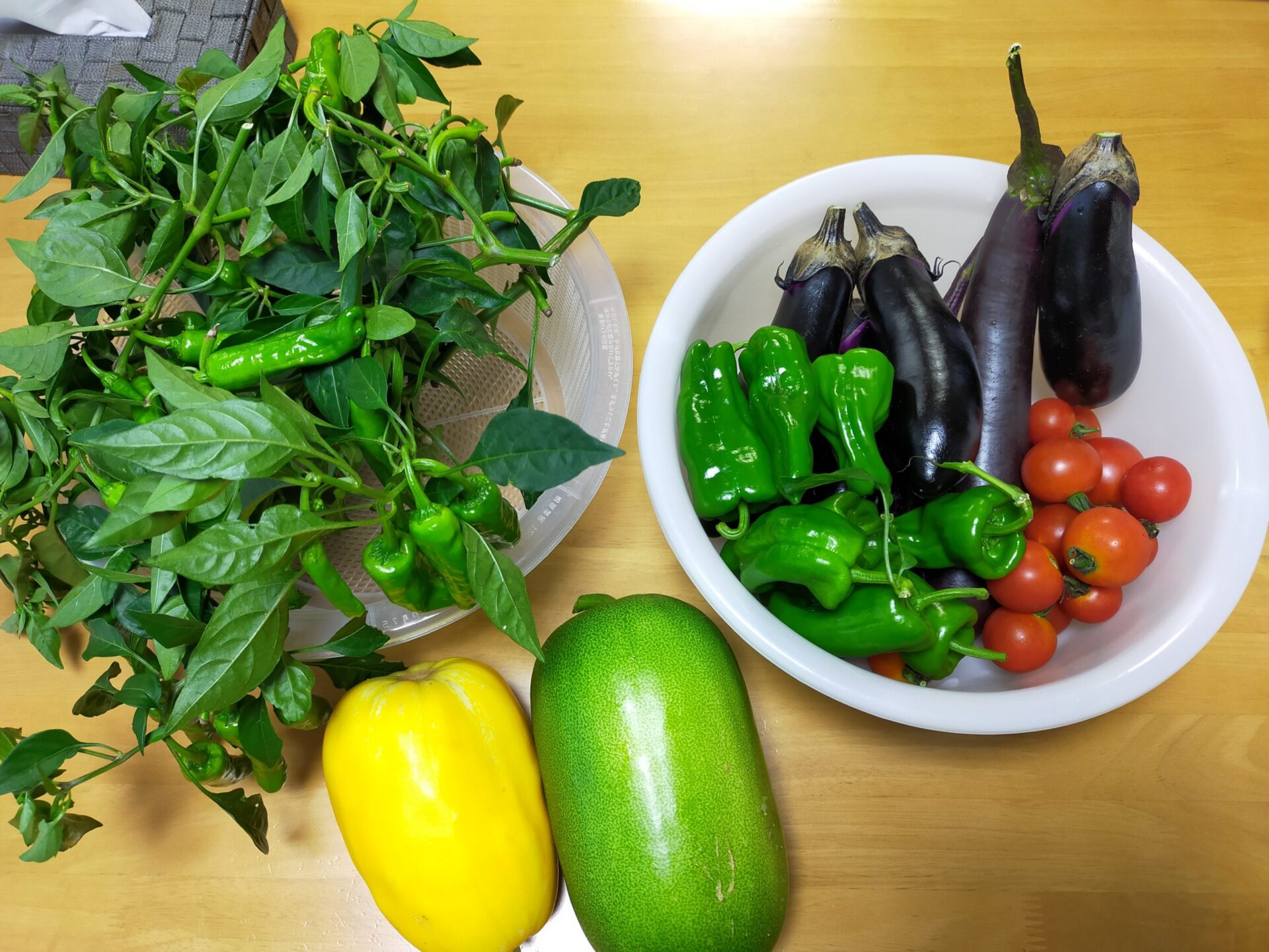 夏のお野菜たち